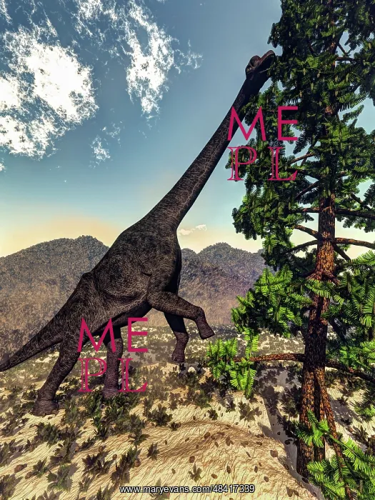: Brachiosaurus dinosaur grazing on a Wollemia pine tree : Brachiosaurus dinosaur grazing on a Wollemia pine tree