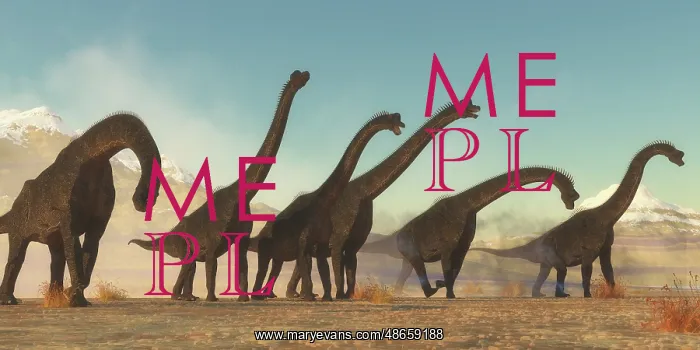 : A Brachiosaurus dinosaur herd moving through a : A Brachiosaurus dinosaur herd moving through a