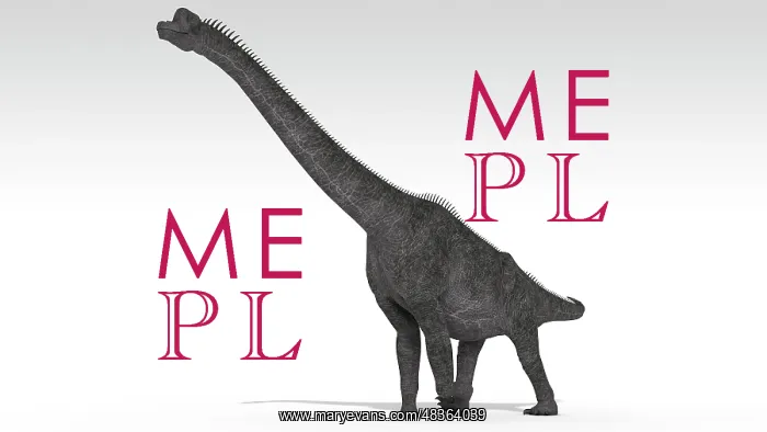 : Brachiosaurus dinosaur, white background : Brachiosaurus dinosaur, white background