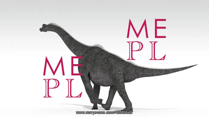 : Brachiosaurus dinosaur, white background : Brachiosaurus dinosaur, white background