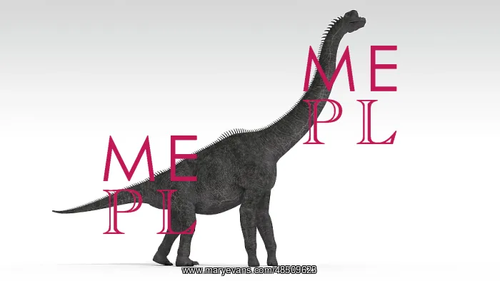 : Brachiosaurus dinosaur, white background : Brachiosaurus dinosaur, white background