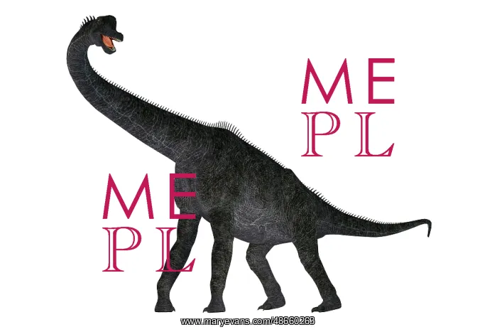 : Brachiosaurus dinosaur on white background : Brachiosaurus dinosaur on white background
