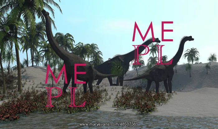 : Three Brachiosaurus dinosaurs grazing : Three Brachiosaurus dinosaurs grazing
