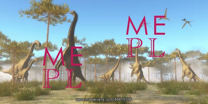 : A Brachiosaurus herd grazing on treetops : A Brachiosaurus herd grazing on treetops
