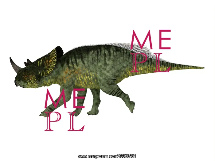 : Brachyceratops dinosaur, side view on white background : Brachyceratops dinosaur, side view on white background