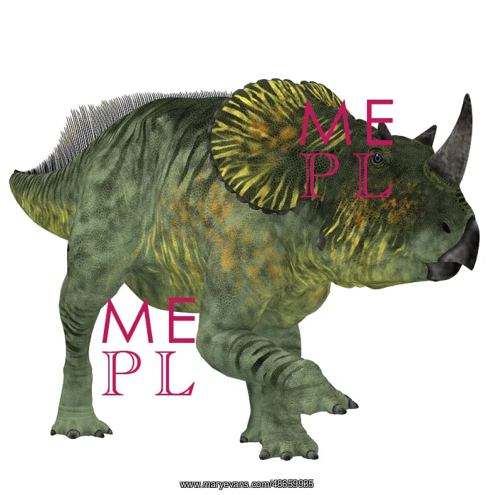 : Brachyceratops dinosaur on white background : Brachyceratops dinosaur on white background