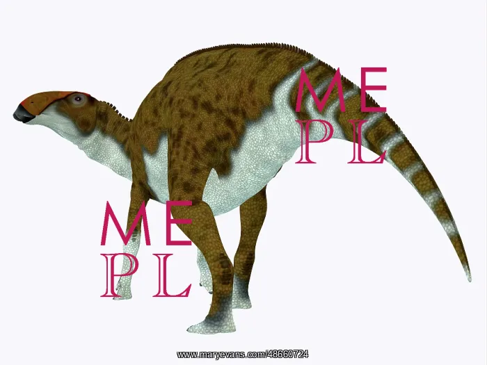 : Brachylophosaurus dinosaur, side view : Brachylophosaurus dinosaur, side view