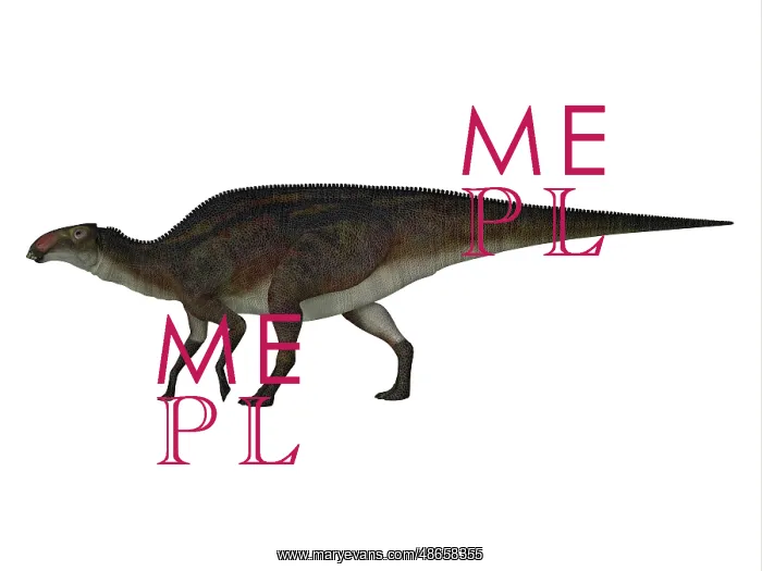 : Brachylophosaurus dinosaur, side view on white background : Brachylophosaurus dinosaur, side view on white background