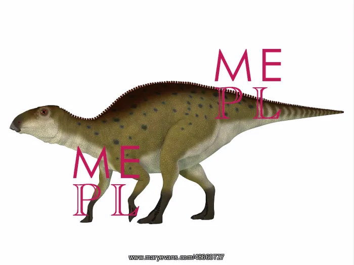 : Brachylophosaurus dinosaur, white background : Brachylophosaurus dinosaur, white background