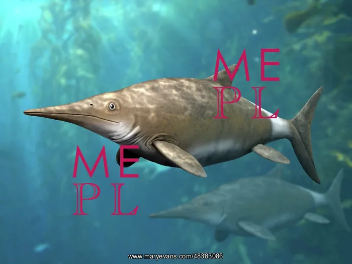 : Brachypterygius is an extinct ichthyosaur from the Late ? : Brachypterygius is an extinct ichthyosaur from the Late ?