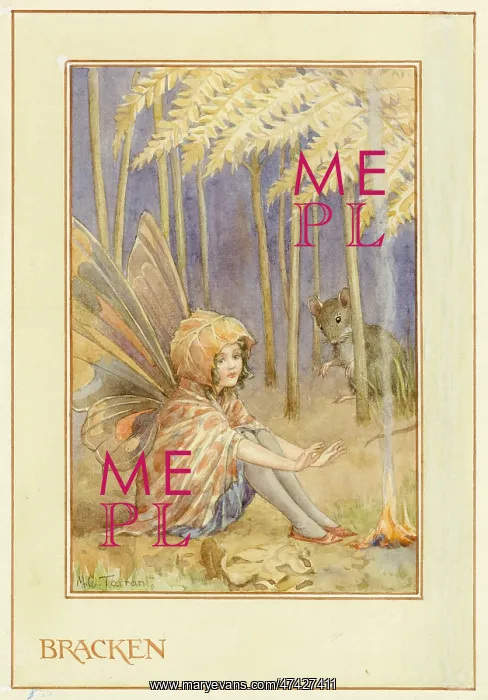  : Bracken Fairy