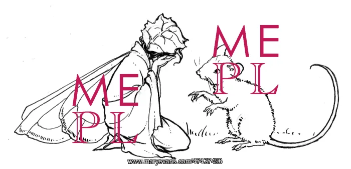 : Bracken fairy and mouse : Bracken fairy and mouse