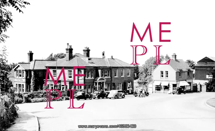  : Bracknell, the Market Inn 1951