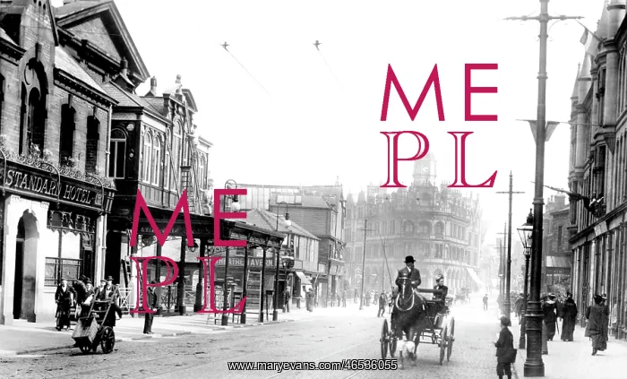  : Bradford, Manningham Lane 1902
