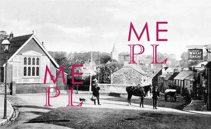  : Brading Isle of Wight early 1900s
