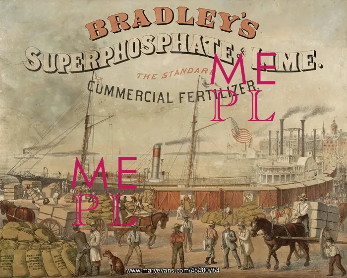 : Bradley's superphosphate of lime. The standard : Bradley's superphosphate of lime. The standard