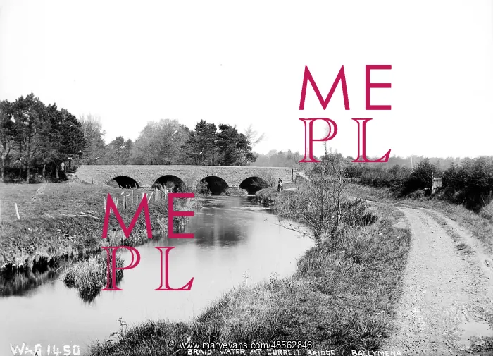 : Braid Water at Currell Bridge, Ballymena : Braid Water at Currell Bridge, Ballymena