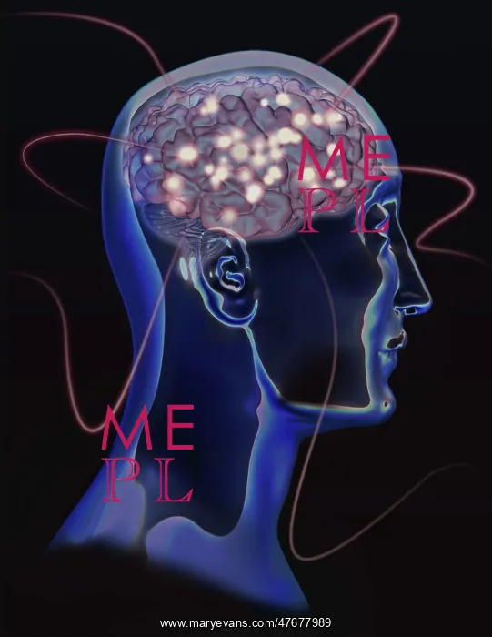 : Brain Activity, Conceptual Illustration : Brain Activity, Conceptual Illustration