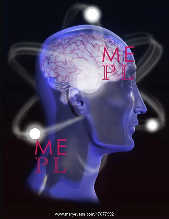 : Brain Activity, Conceptual Illustration : Brain Activity, Conceptual Illustration