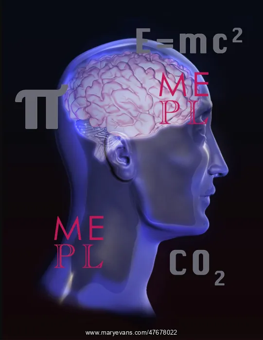 : Brain Activity, Conceptual Illustration : Brain Activity, Conceptual Illustration