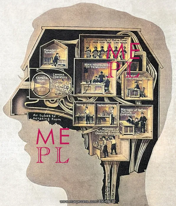 : BRAIN / BUSINESS CENTRE : BRAIN / BUSINESS CENTRE