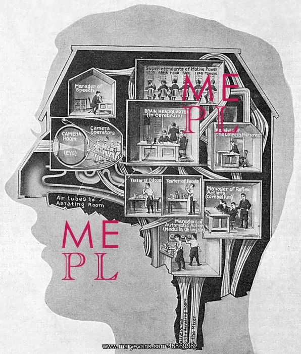 : BRAIN / BUSINESS CENTRE : BRAIN / BUSINESS CENTRE