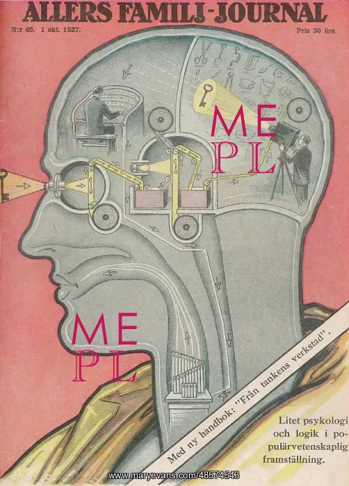  : What the Brain Does