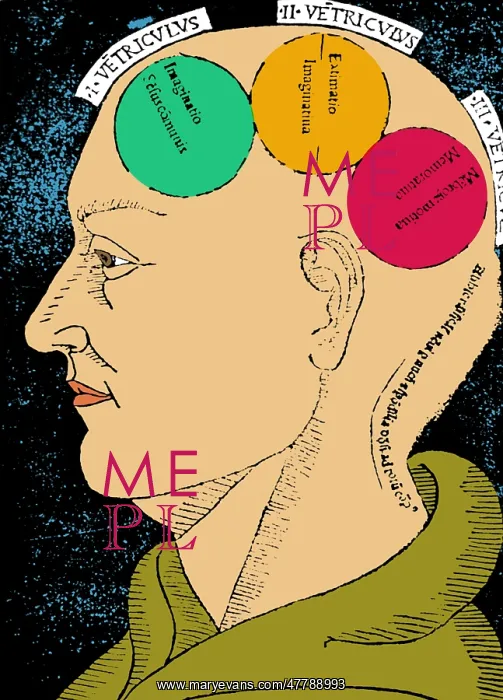 : Brain Functions, Albertus Magnus Woodcut : Brain Functions, Albertus Magnus Woodcut