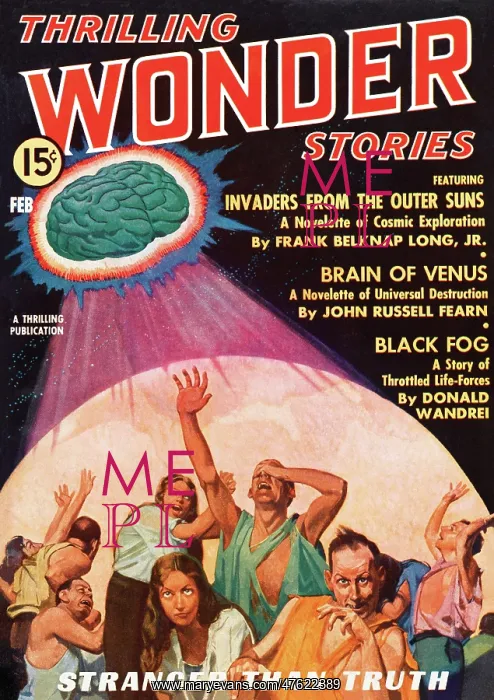 : BRAIN OF VENUS : BRAIN OF VENUS