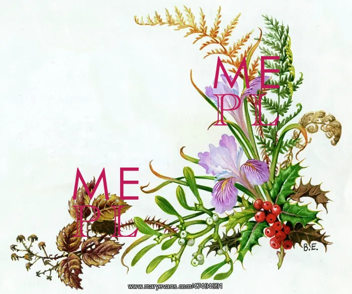  : Bramble fern, mistletoe, holly and winter iris