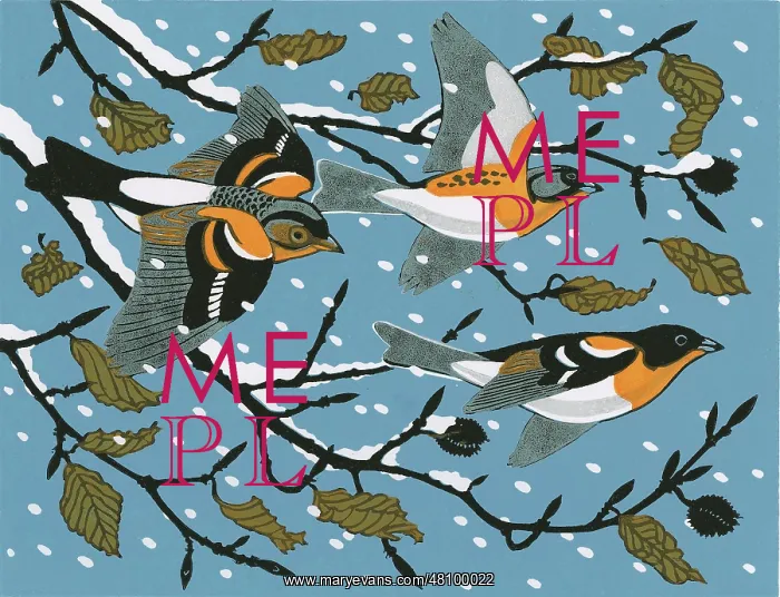 : Bramblings - Christmas Card Design : Bramblings - Christmas Card Design