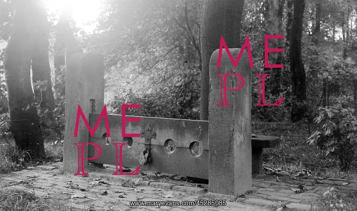 : Bramhall Hall, Cheshire - the stocks : Bramhall Hall, Cheshire - the stocks