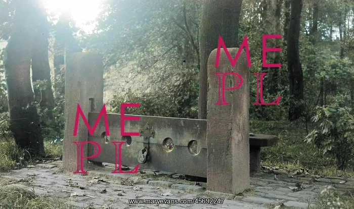 : Bramhall Hall, Cheshire - the stocks : Bramhall Hall, Cheshire - the stocks