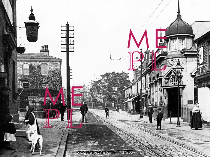  : Bramley Steam Laundry early 1900s