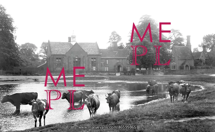  : Brampton, Pond and Schools 1907