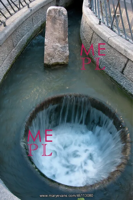 : Branch of Almkanal in a pool of water at University : Branch of Almkanal in a pool of water at University