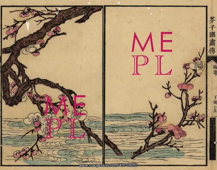 : Branch of pink plum blossom over a river : Branch of pink plum blossom over a river
