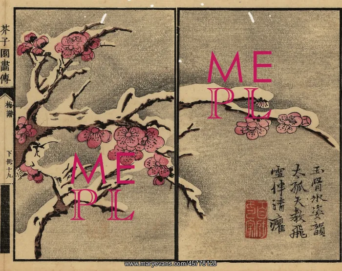 : Branch of plum blossom covered with snow : Branch of plum blossom covered with snow
