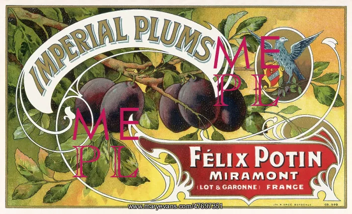  : Branch with Ripe Plums