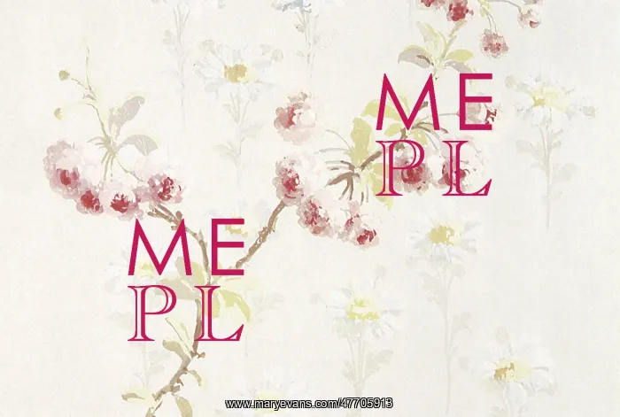 : A branch with white flowers with red centers on an off-white : A branch with white flowers with red centers on an off-white