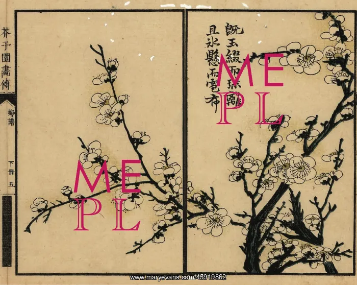 : Branch of white plum blossom with calligraphy : Branch of white plum blossom with calligraphy