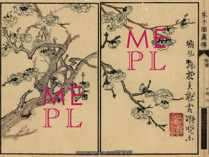 : Branch of white plum blossom with calligraphy and seal : Branch of white plum blossom with calligraphy and seal