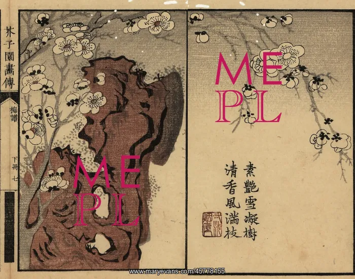 : Branch of white plum blossom on a rock with calligraphy : Branch of white plum blossom on a rock with calligraphy