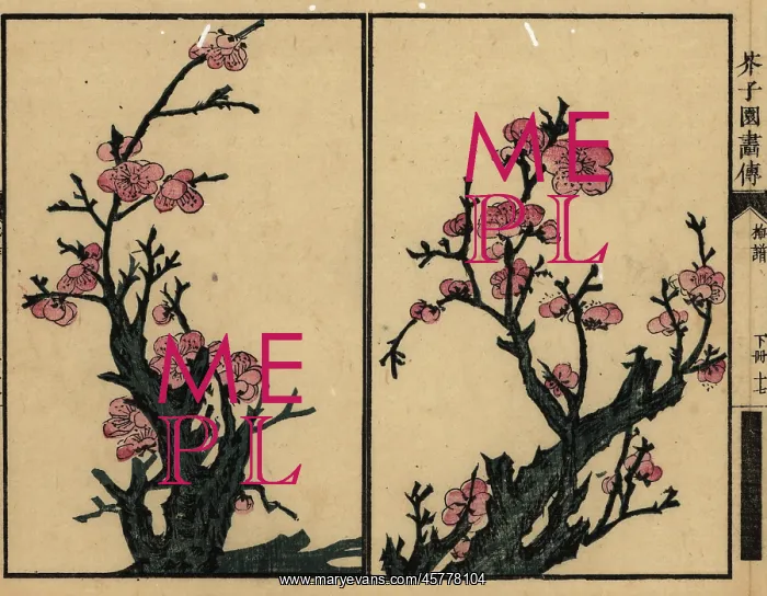 : Branches of plum blossom : Branches of plum blossom