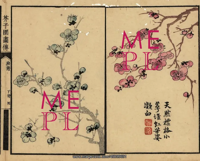 : Branches of plum blossom with calligraphy and seal : Branches of plum blossom with calligraphy and seal