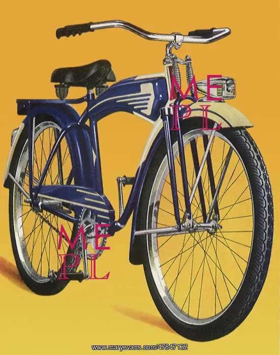  : Brand New Bicycle