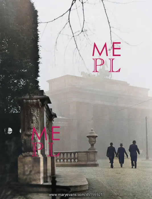 : BRANDENBURG GATE IN FOG : BRANDENBURG GATE IN FOG