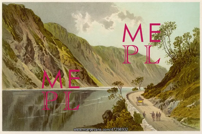  : BRANDER PASS