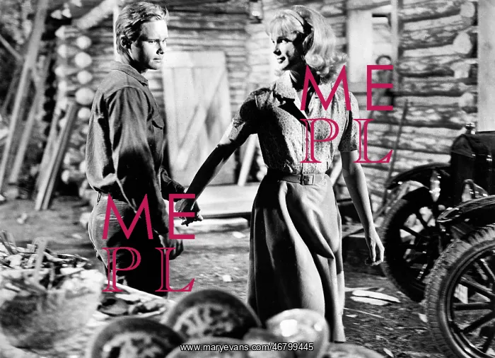 : Brandon deWilde - Linda Evans : Brandon deWilde - Linda Evans