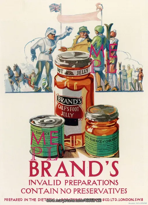 : Brand's Invalid Preparations advertisement : Brand's Invalid Preparations advertisement